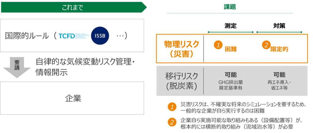 TCFDなど、既存のルールには限界あり